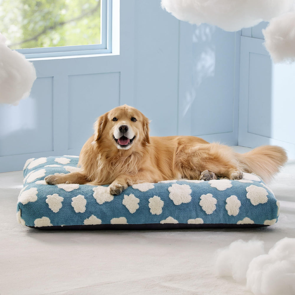 LE SURE Cute XL Dog Bed indoors or in kennel setup for versatile use.