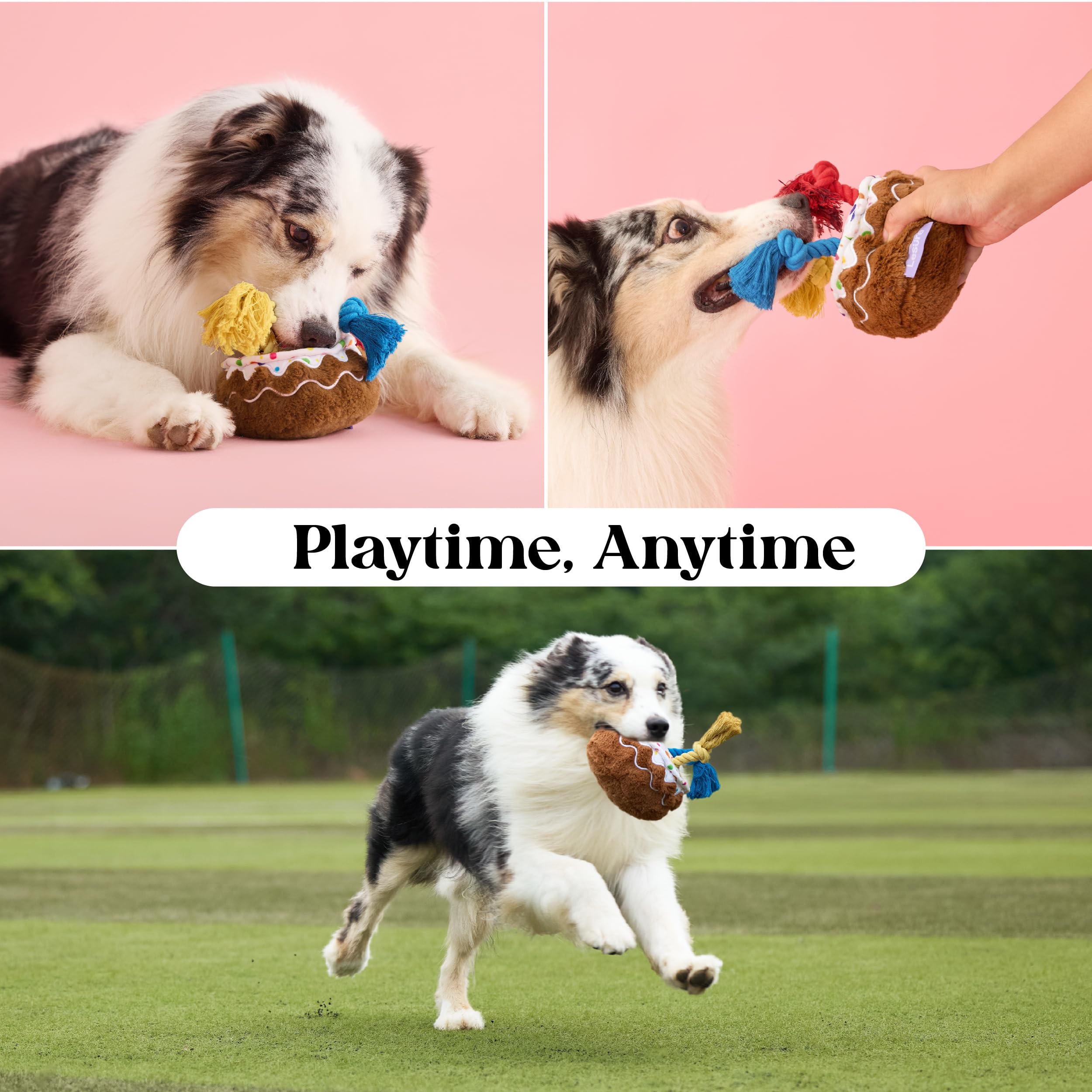LE SURE dental-gum massage feature demonstrated during chewing