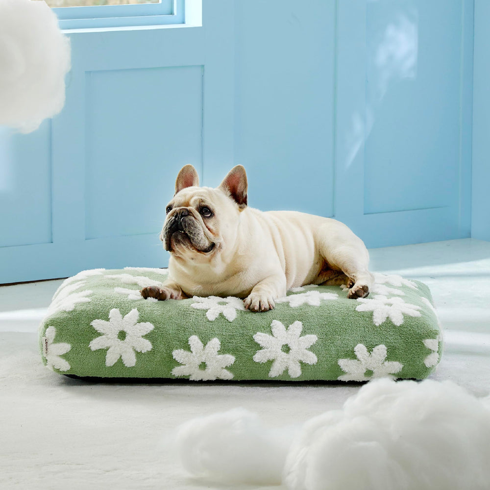 LE SURE dog bed in-use with a pet for cozy comfort.