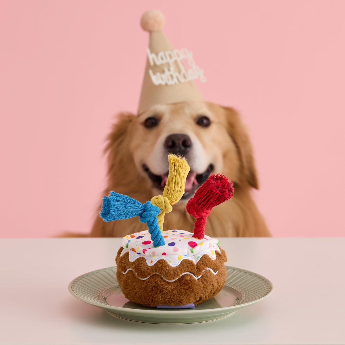 LE SURE Dog Birthday Cake Toy close-up showing built-in squeaker for engaging play