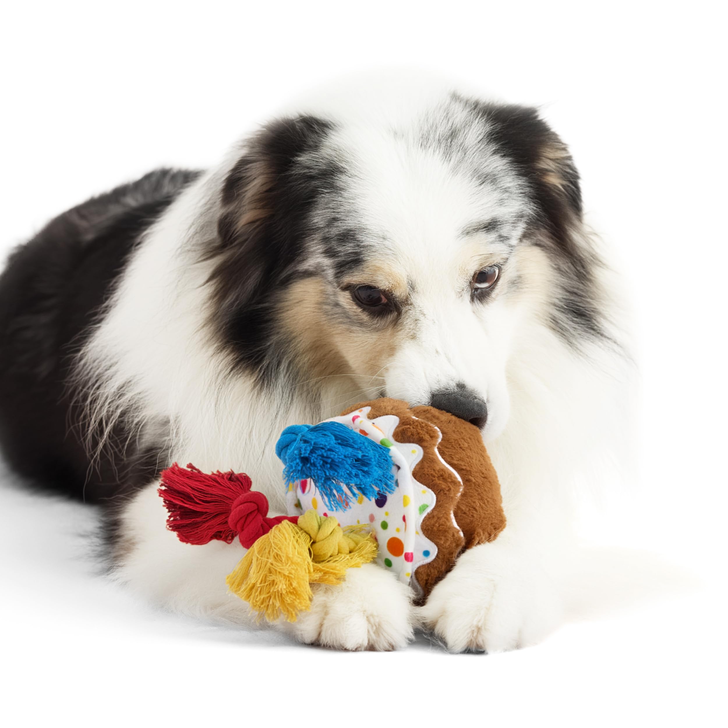 LE SURE Dog Birthday Cake Toy in milk chocolate color supports playful birthday vibes