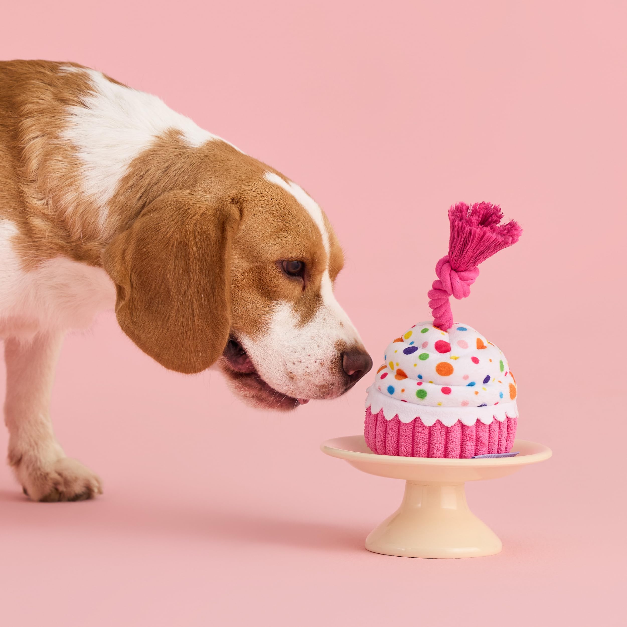 LE SURE Plush cake toy in a birthday party setup highlights gifting potential.