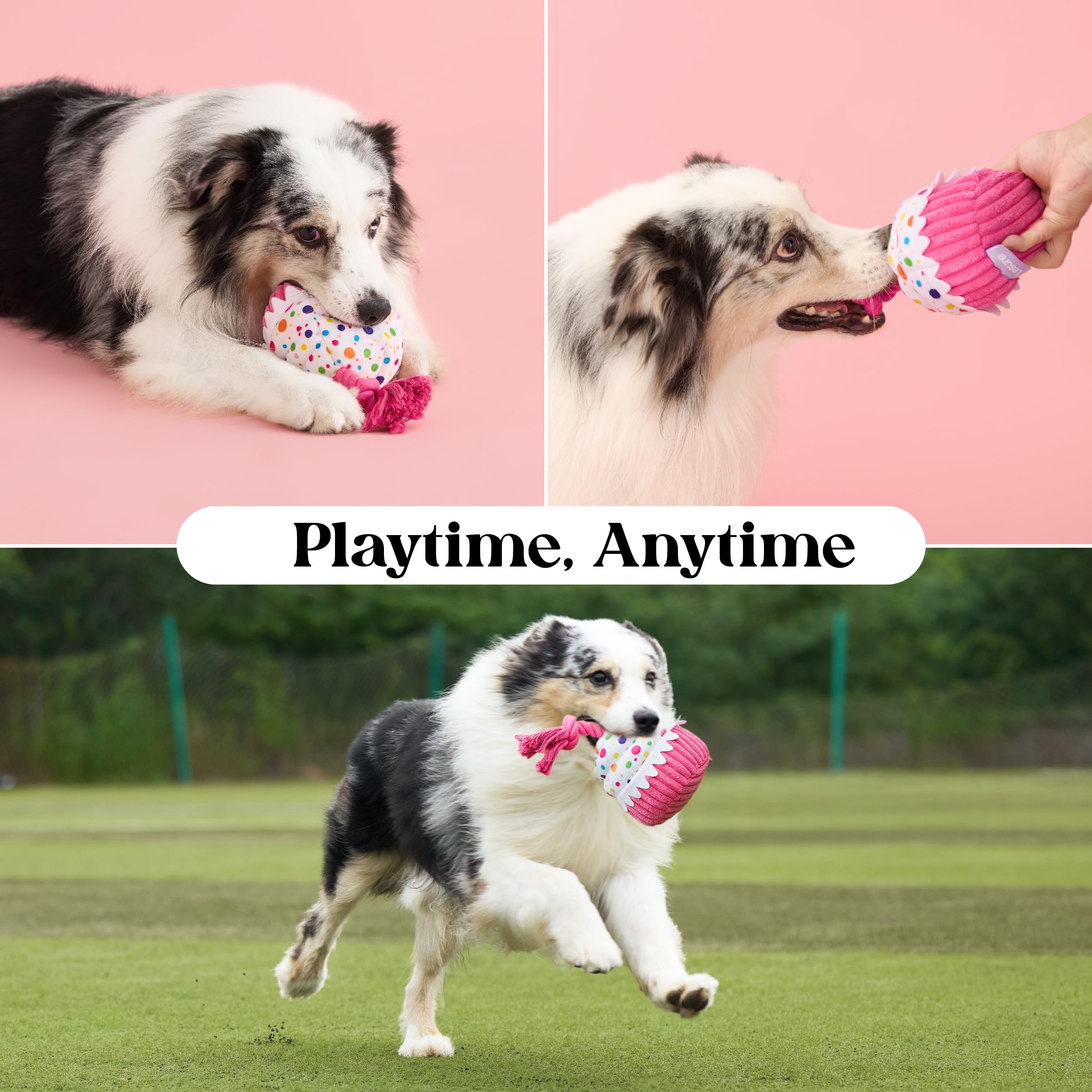 LE SURE Pink cake toy on floor demonstrates two-play modes for solo or shared fun.