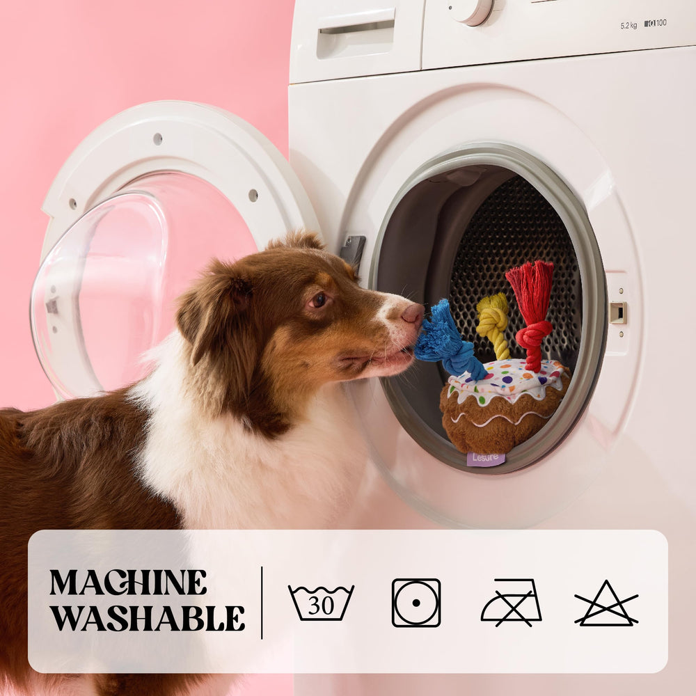 LE SURE Cake Toy provides plush chew experience for solo or shared fun
