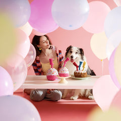 LE SURE Dog Birthday Cake Toy with tug rope for interactive tug-of-war sessions