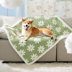 LE SURE double-sided dog blanket features sherpa fleece and jacquard texture for cozy warmth