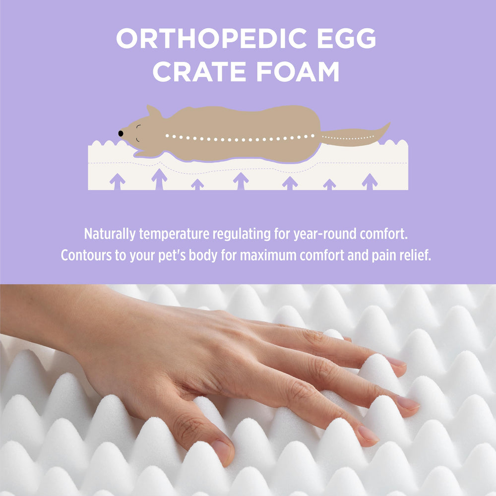 LE SURE Human Dog Bed egg foam mat emphasizes ergonomic cushioning