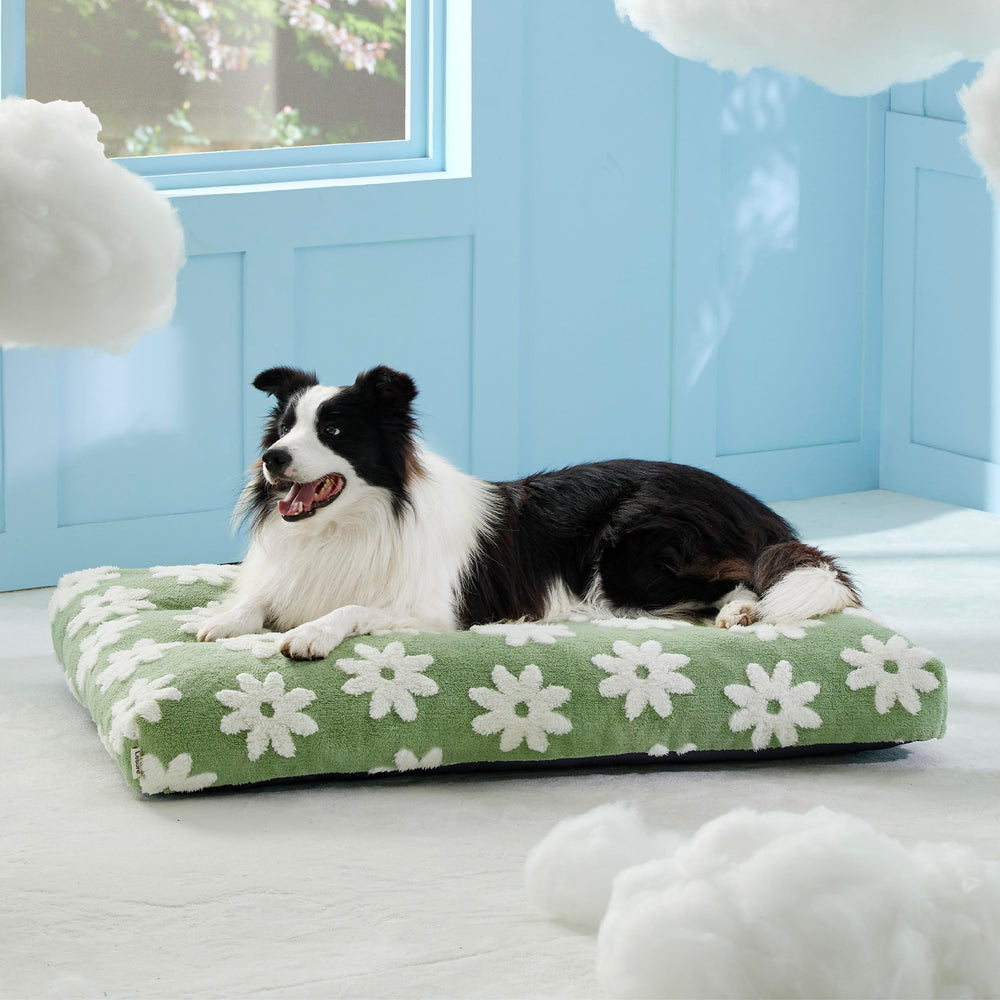 LE SURE large dog bed indoors outdoors setup showcases versatile use.