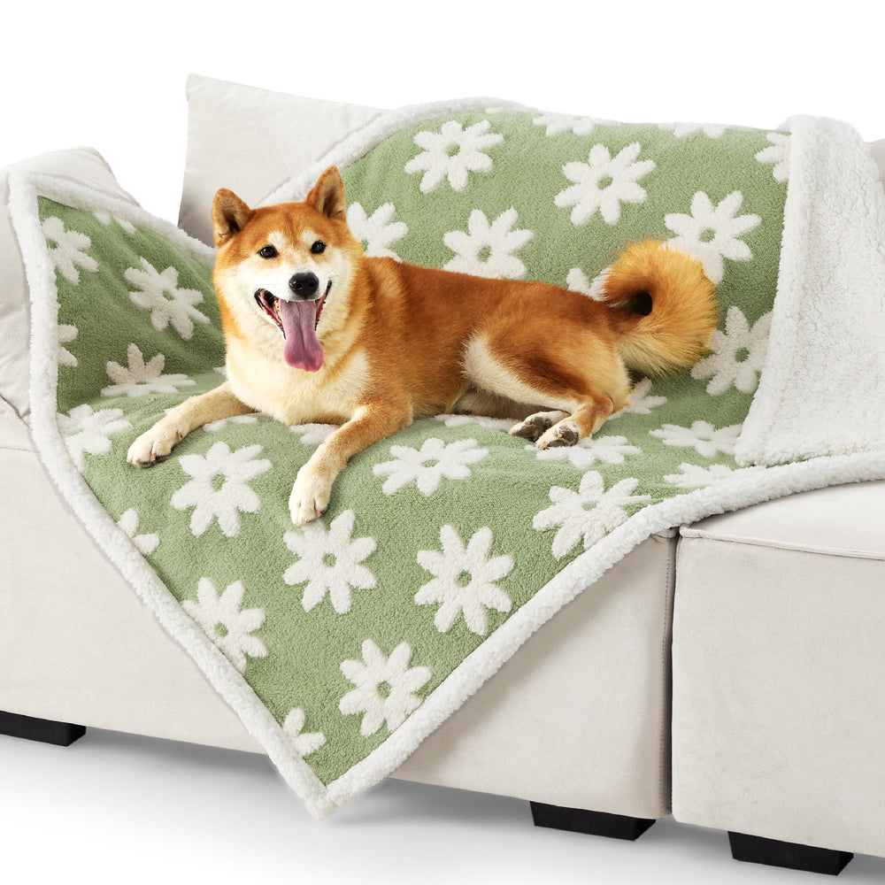 LE SURE green dog blanket with waterproof inner lining protects pets and furniture