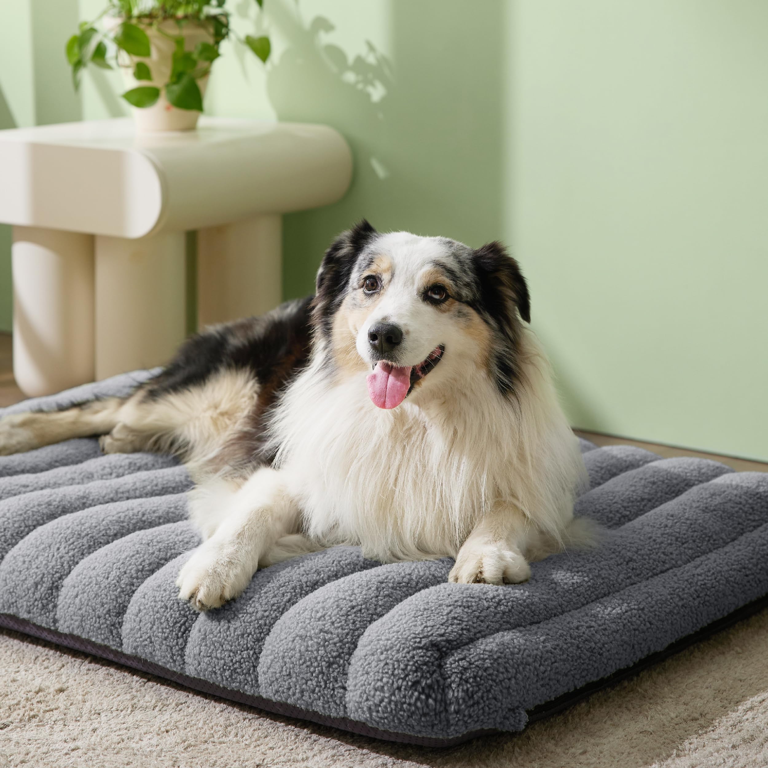 LE SURE orthopedic dog bed side view highlighting convenient, easy-clean maintenance.