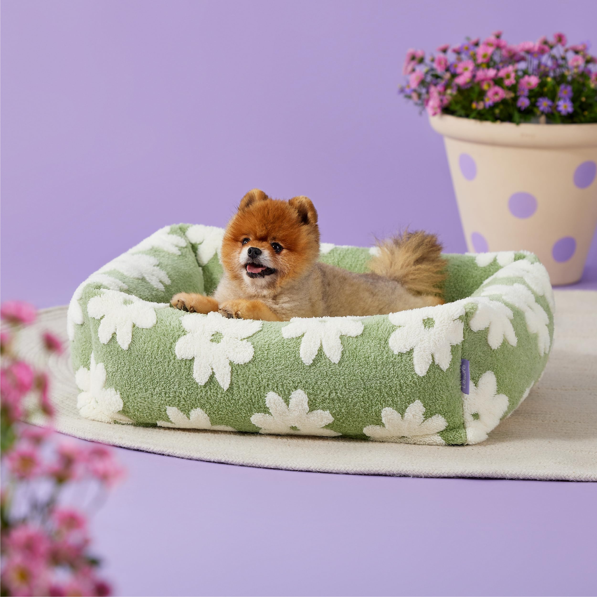LE SURE paw-friendly-decor-pattern features stylish jacquard prints that brighten living spaces