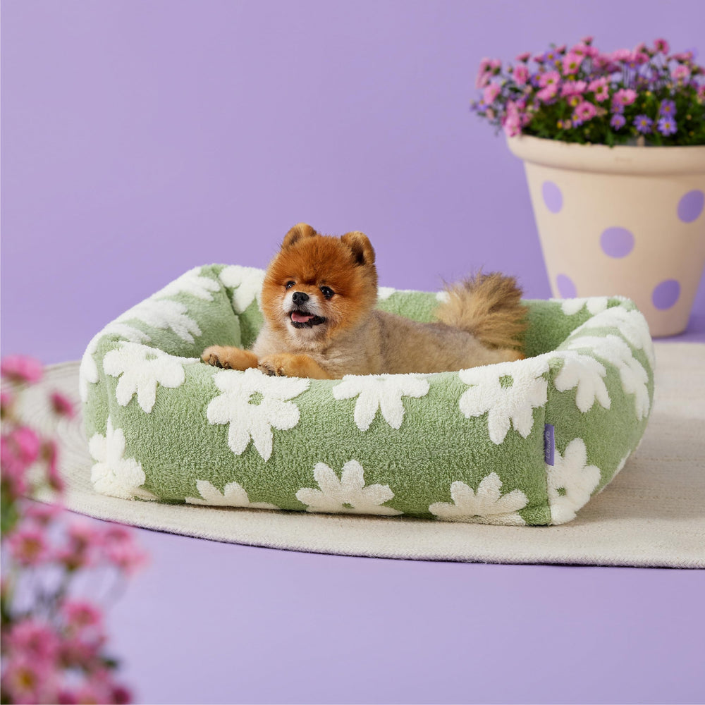 LE SURE paw-friendly-decor-pattern features stylish jacquard prints that brighten living spaces