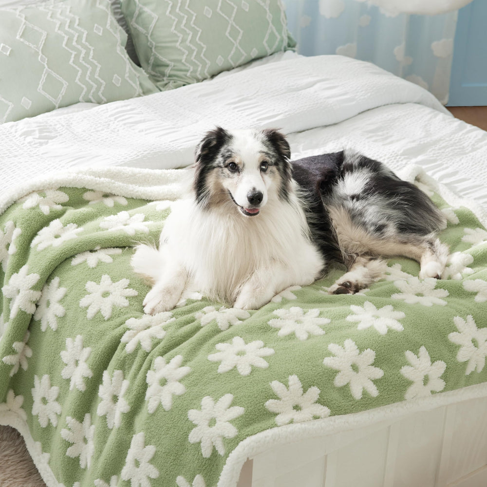 LE SURE waterproof dog blanket on sofa keeps large dog warm and furniture protected