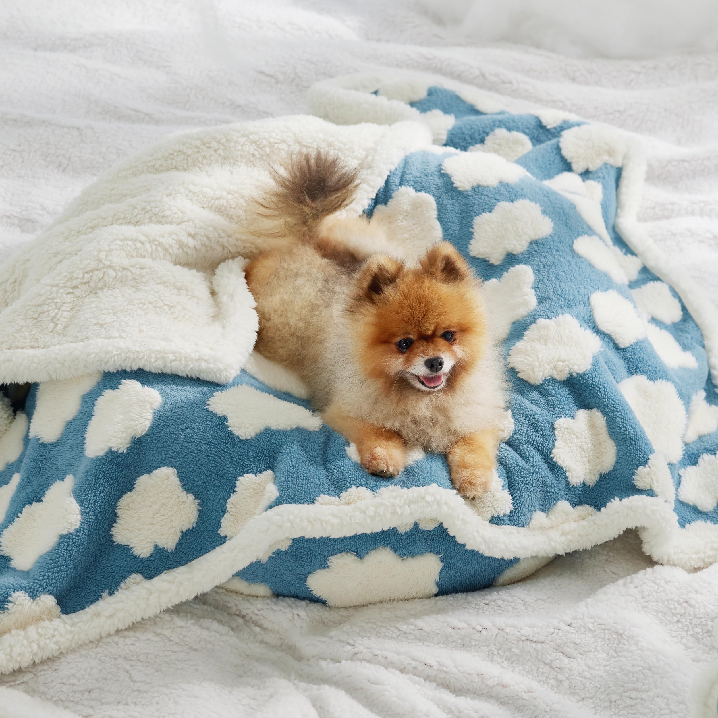 LE SURE edge-stitching blue blanket durability for chewing and scratching