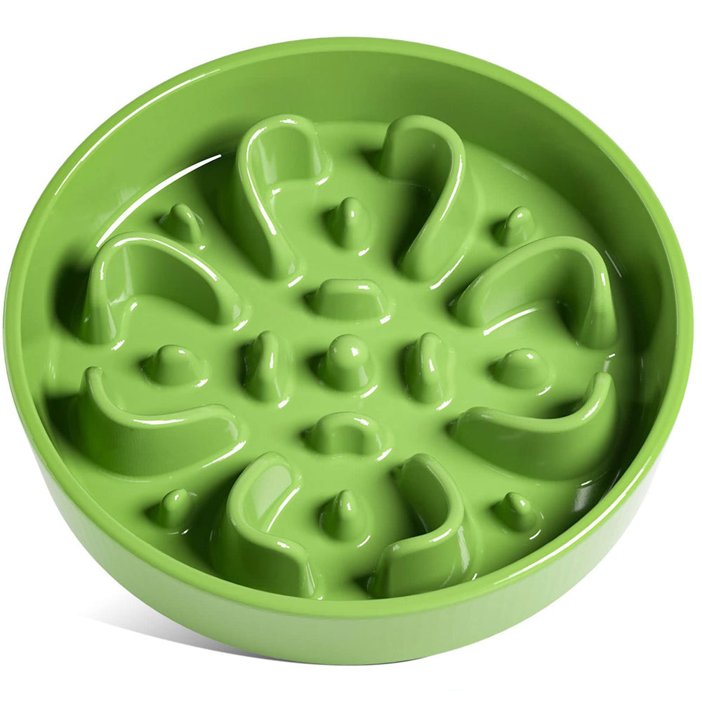 LE TAUCI ceramic slow feeder bowl full view shows Clover Green finish