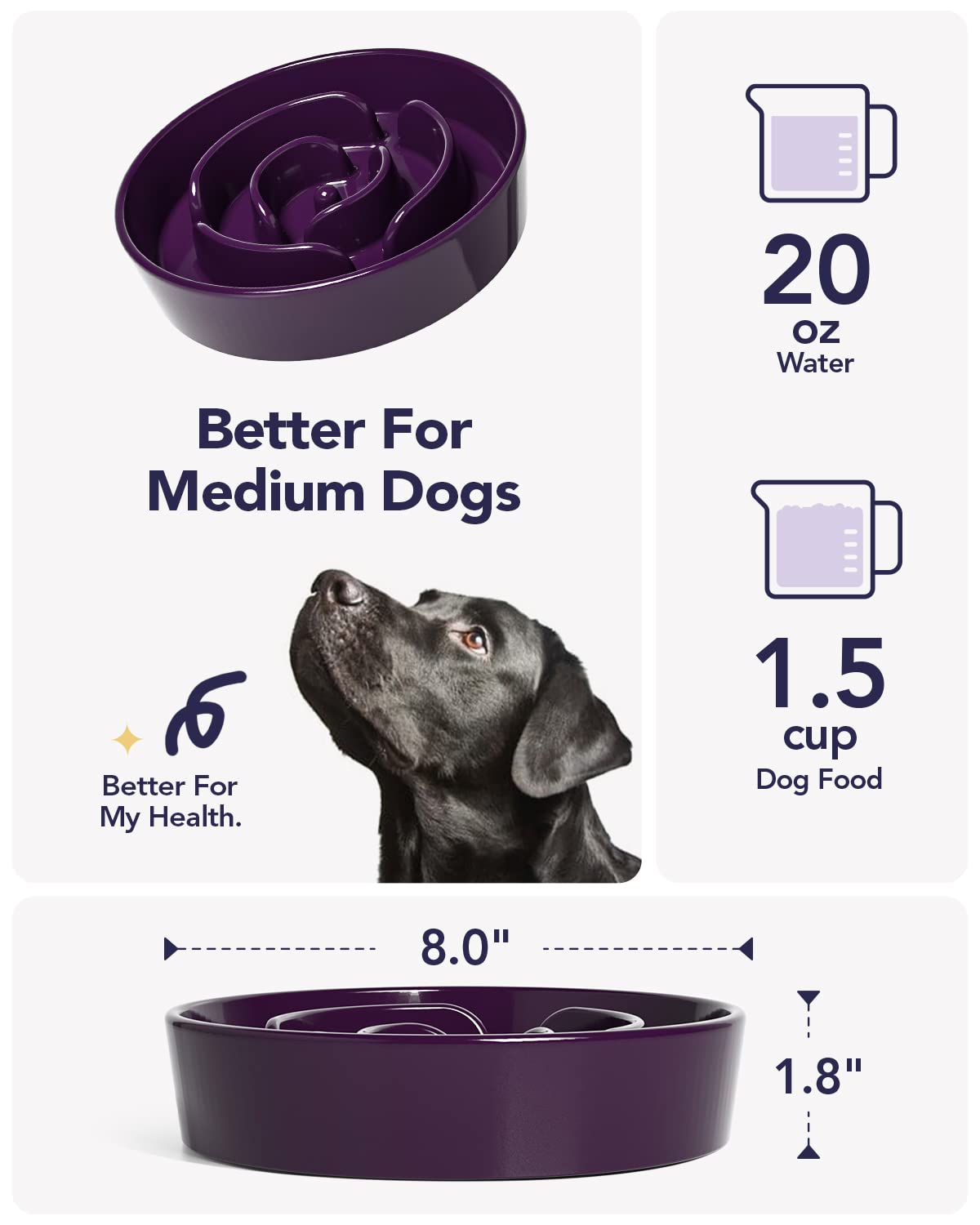 LE TAUCI ceramic slow feeder bowl works with dry, wet, or raw food textures