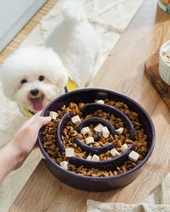 LE TAUCI maze-pattern design slows fast eaters during mealtime