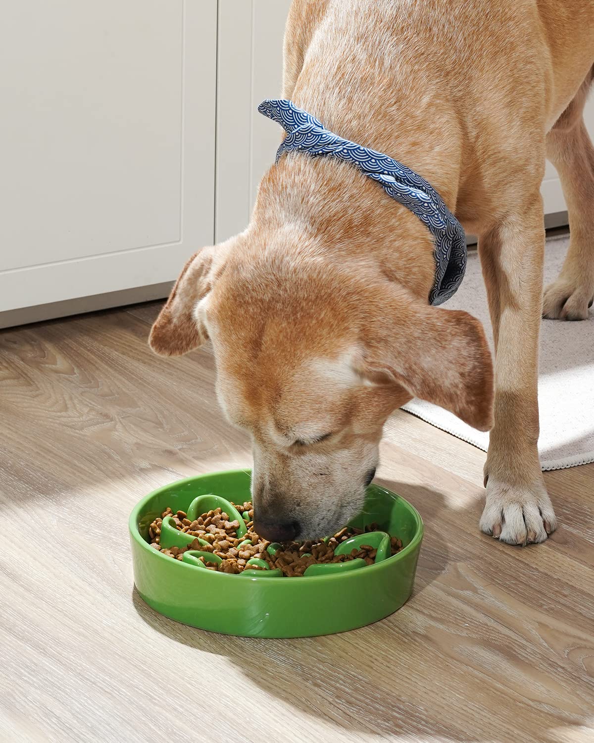 LE TAUCI ceramic slow feeder bowl with non-slip base in use