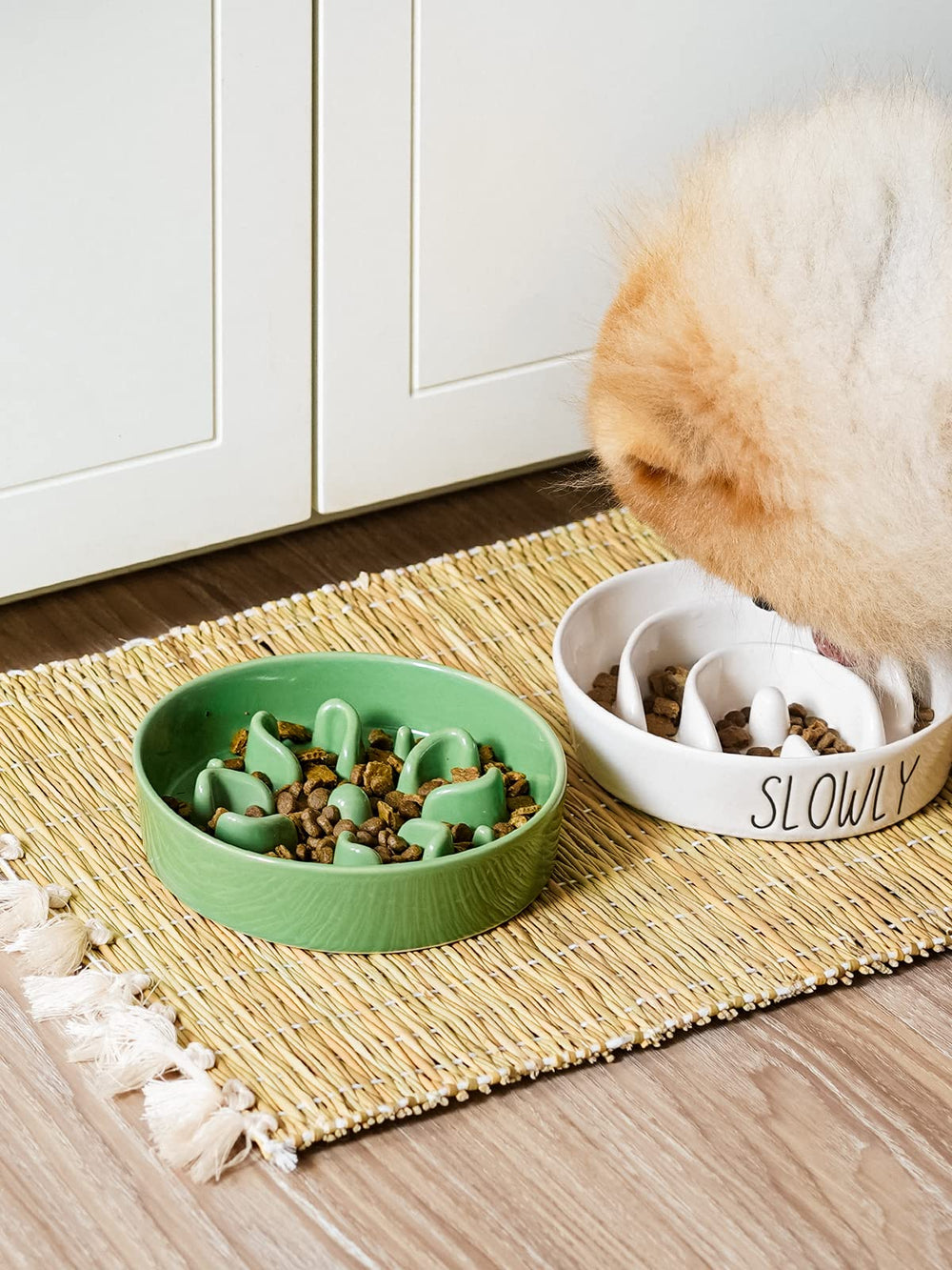 LE TAUCI ceramic slow feeder bowl non-slip base keeps feeding area tidy.