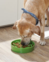 LE TAUCI ceramic slow feeder bowl with non-slip base in use