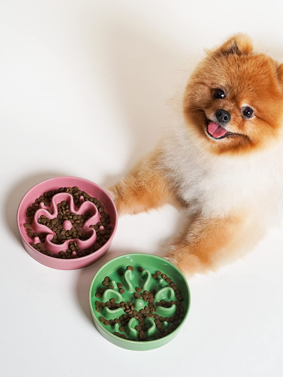 LE TAUCI small-dog-cat bowl supports dry, wet, or raw meals.