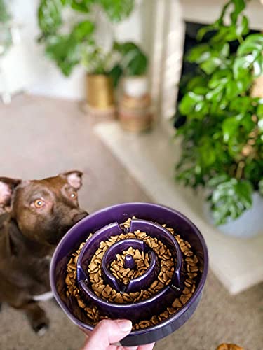 LE TAUCI Climate Pledge Friendly ceramic bowl supports eco-conscious choices