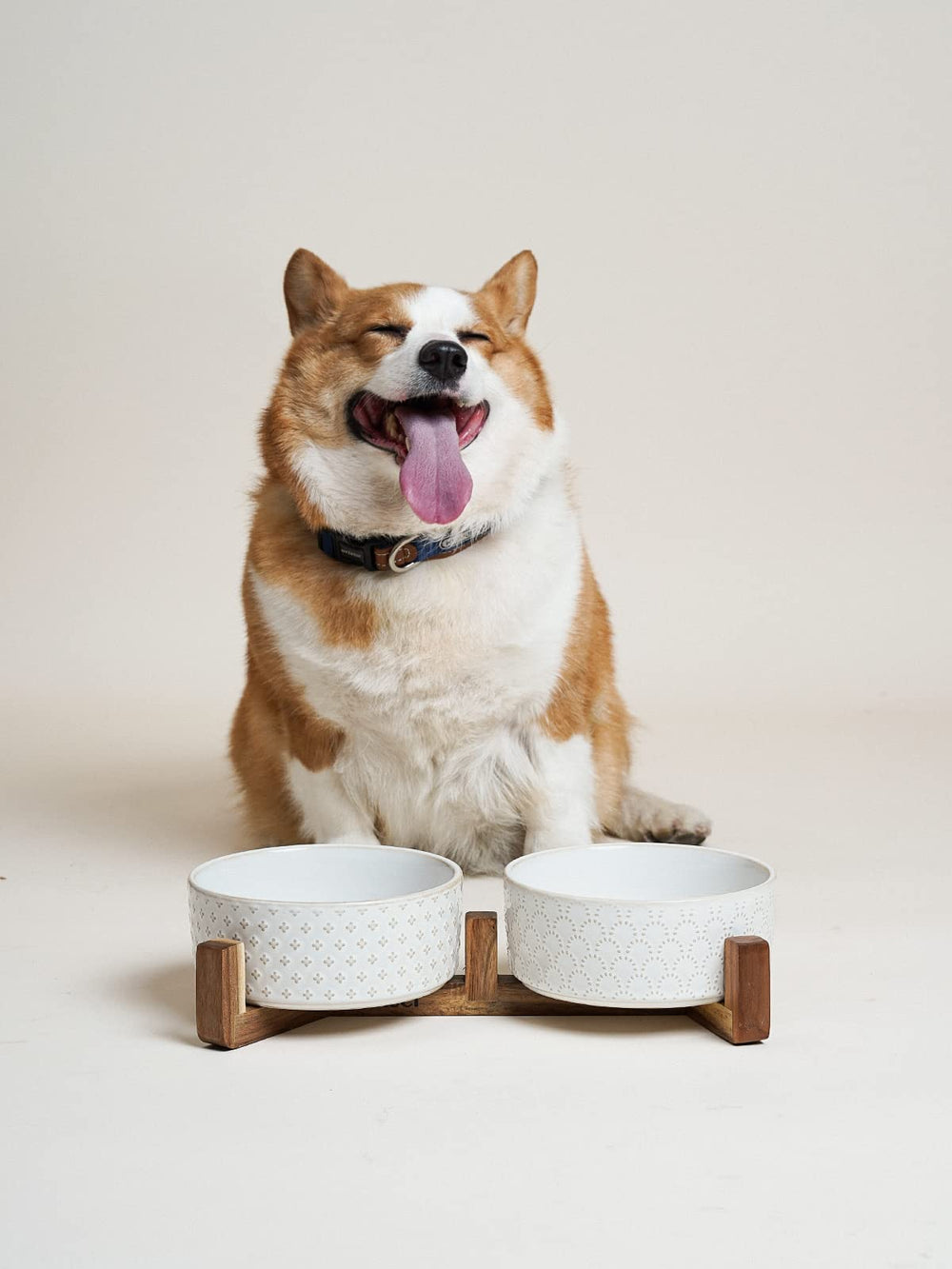 LE TAUCI 3-cup capacity indicates suitable size for small to medium pets