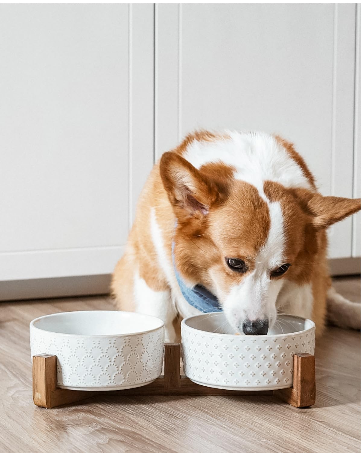 LE TAUCI elevated design reduces neck strain during pet meals
