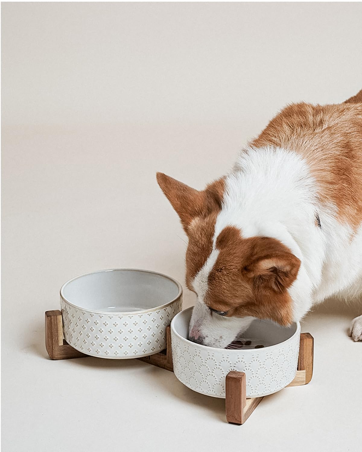 LE TAUCI microwave-safe bowls for quick heating of pet food