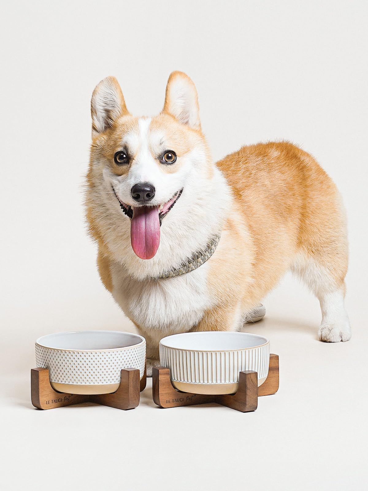 LE TAUCI PET dishwasher- and microwave-safe bowls for convenient feeding.
