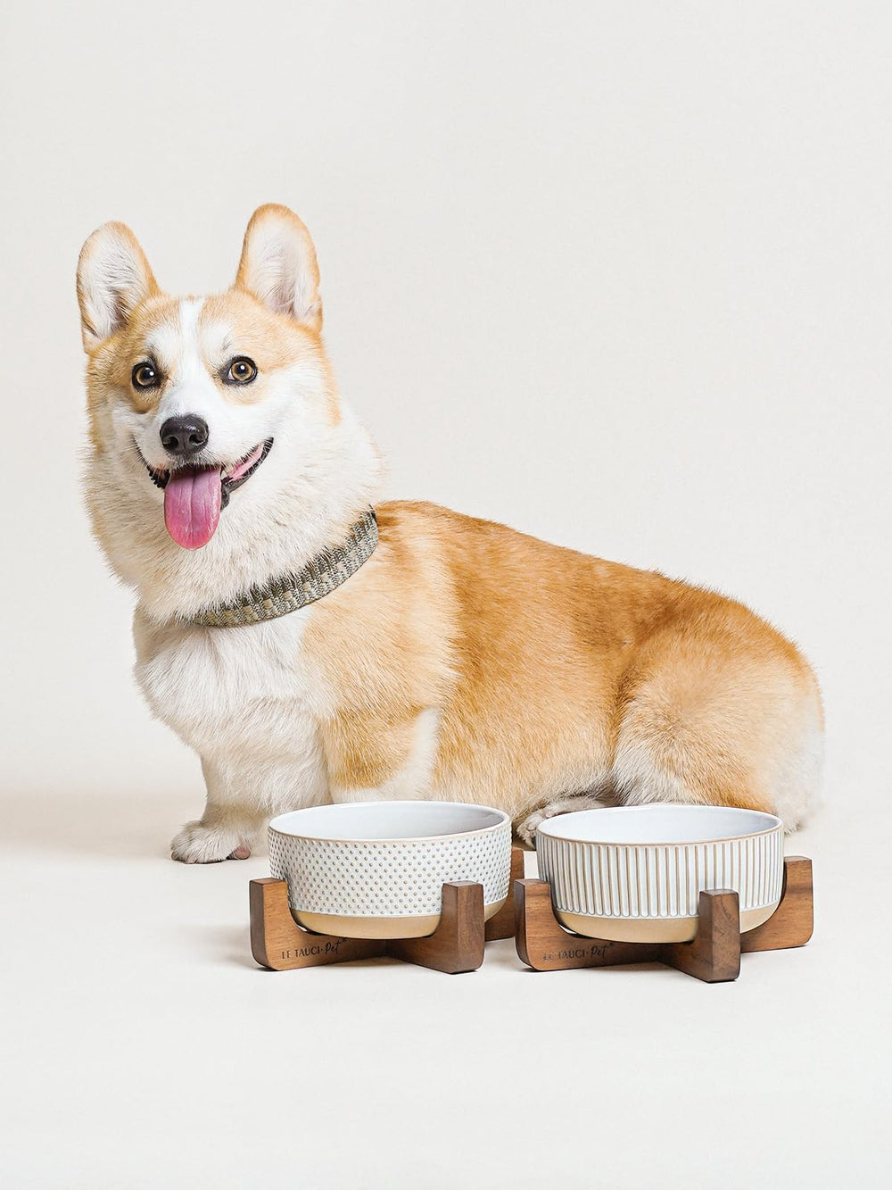 LE TAUCI PET ceramic bowls on wood stand closeup with glossy glaze.