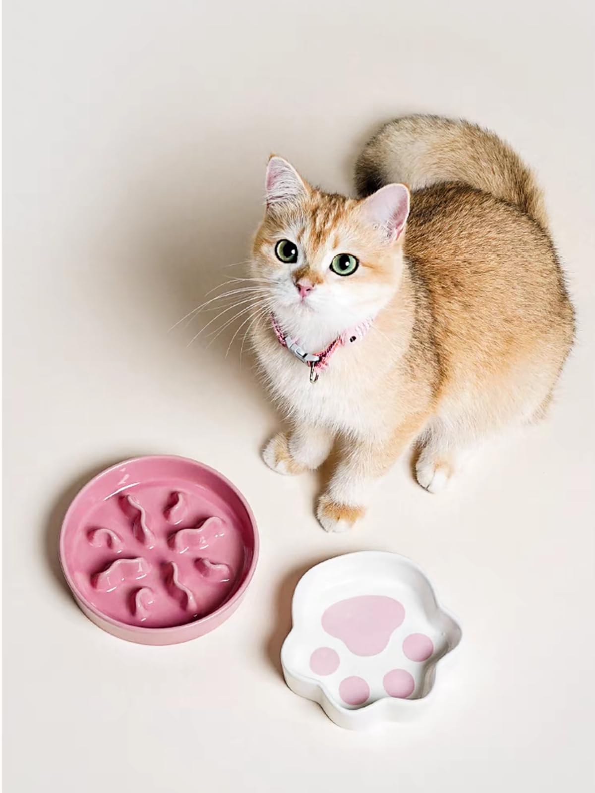 LE TAUCI PET ceramic slow feeder bowl with maze pattern for easier, calmer eating