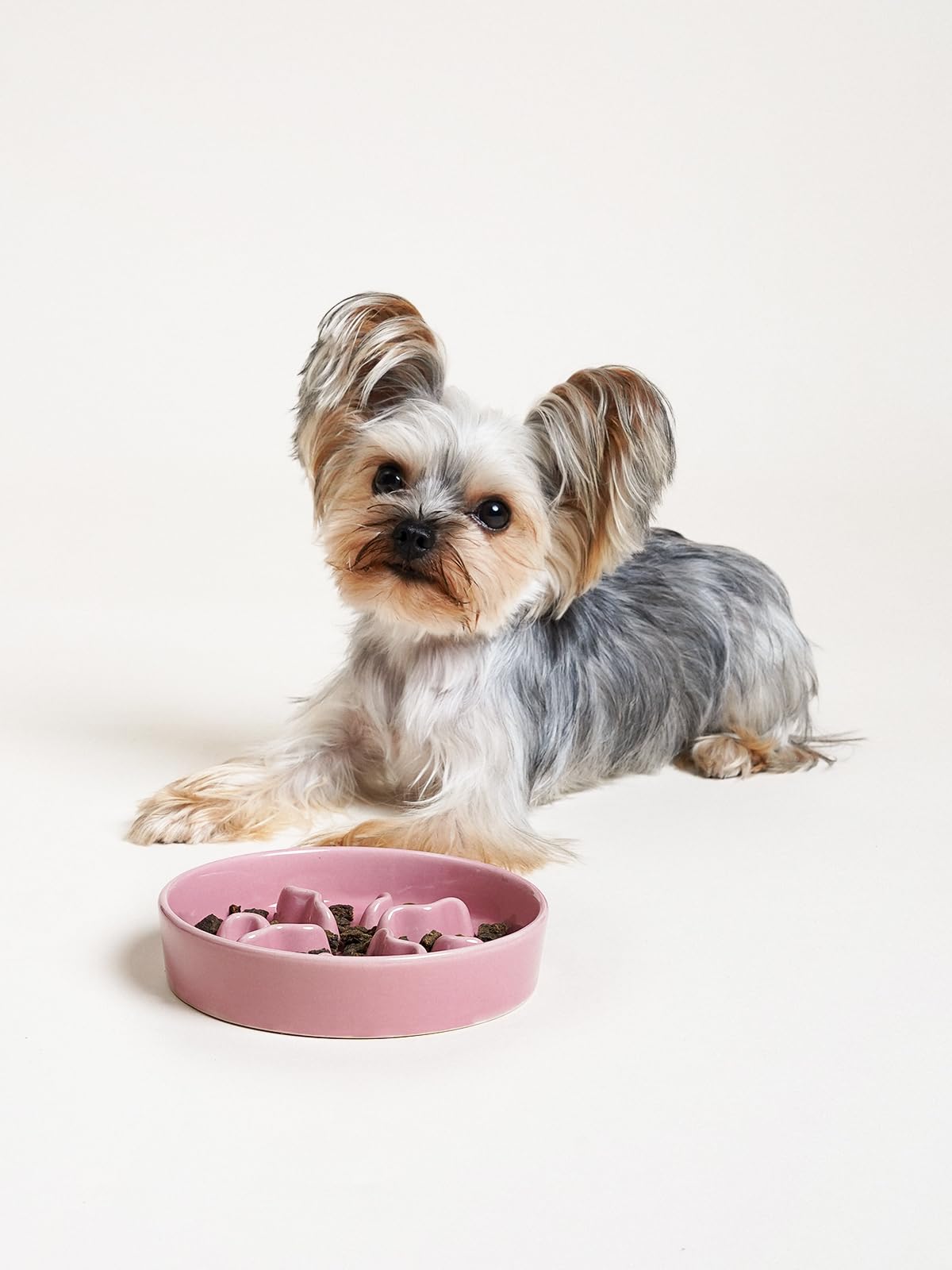 LE TAUCI PET durable ceramic slow feeder bowl resists damage during mealtimes