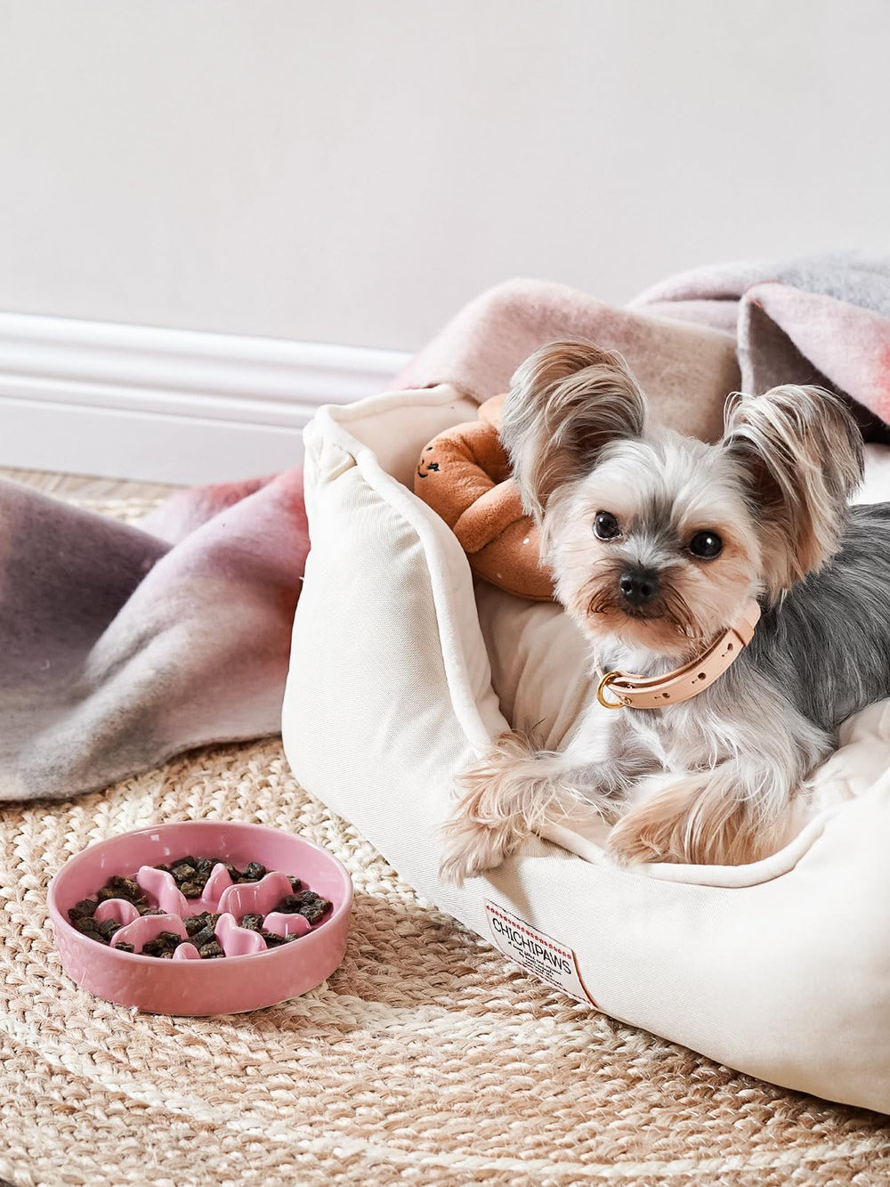 LE TAUCI PET ceramic slow feeder bowl side view shows non-slip base for stable meals