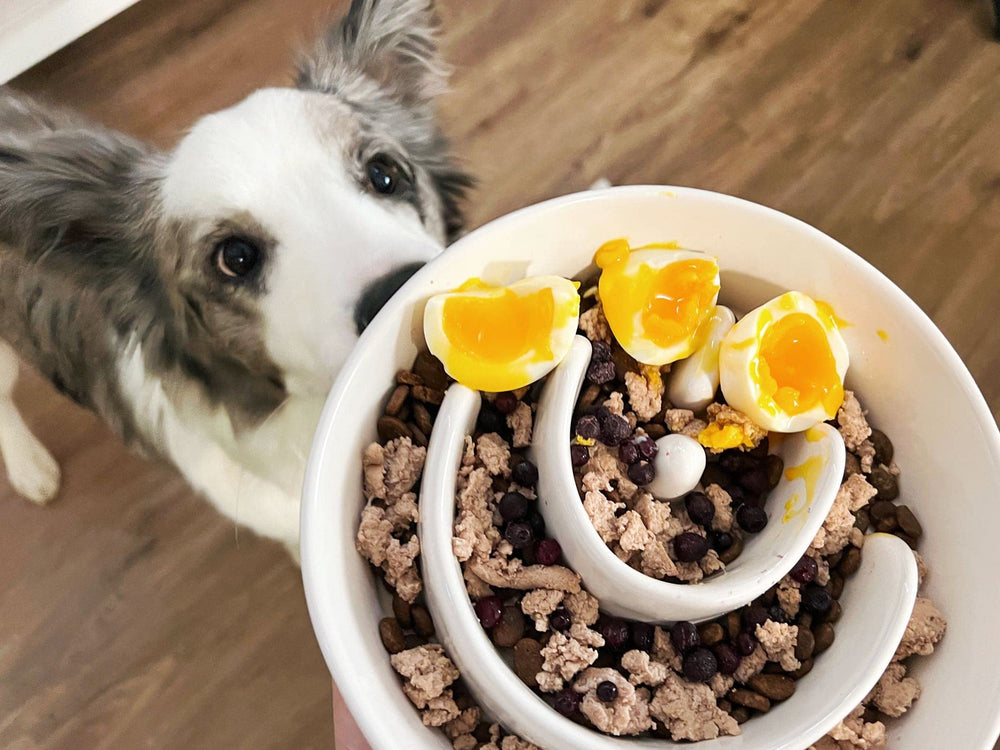 LE TAUCI PET maze-design bowl image emphasizing slower eating during meals