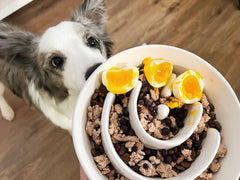 LE TAUCI PET maze-design bowl image emphasizing slower eating during meals