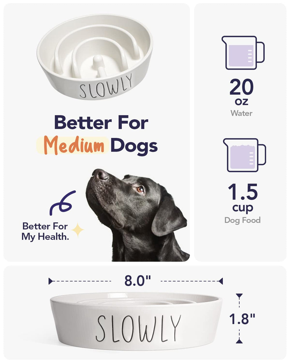 LE TAUCI PET non-slip base keeping the bowl steady during dog meals