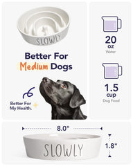 LE TAUCI PET non-slip base keeping the bowl steady during dog meals