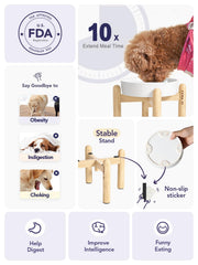 LE TAUCI puzzle bowl for small pets adds a mealtime challenge