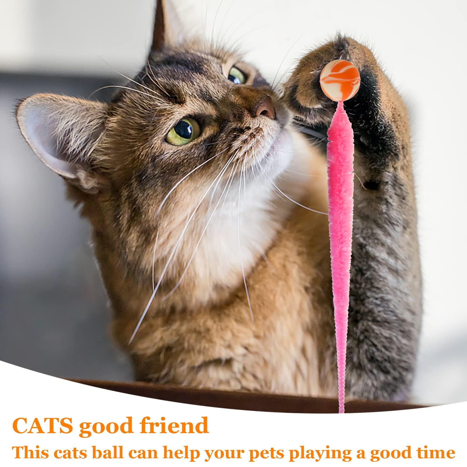 LE TOOTER easy-clean cat worm toy 5 simplifies hygienic upkeep