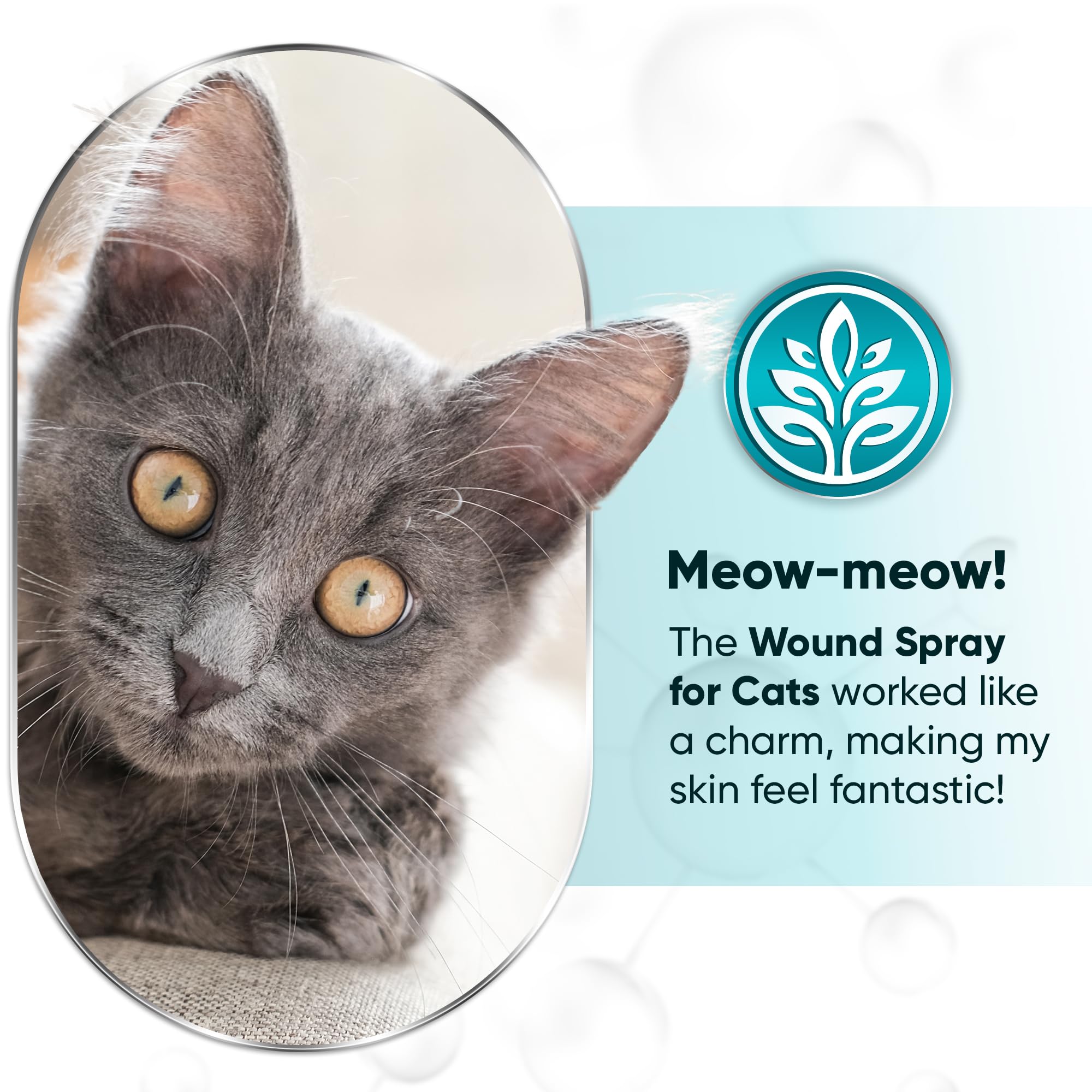 LeAcademic cat wound spray after surgery use illustrating post-operative care.