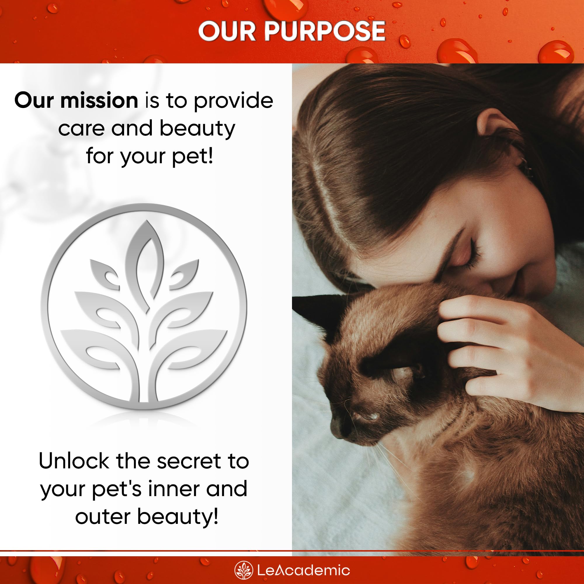 Cat ear wash with OTIC+ for daily ear care.