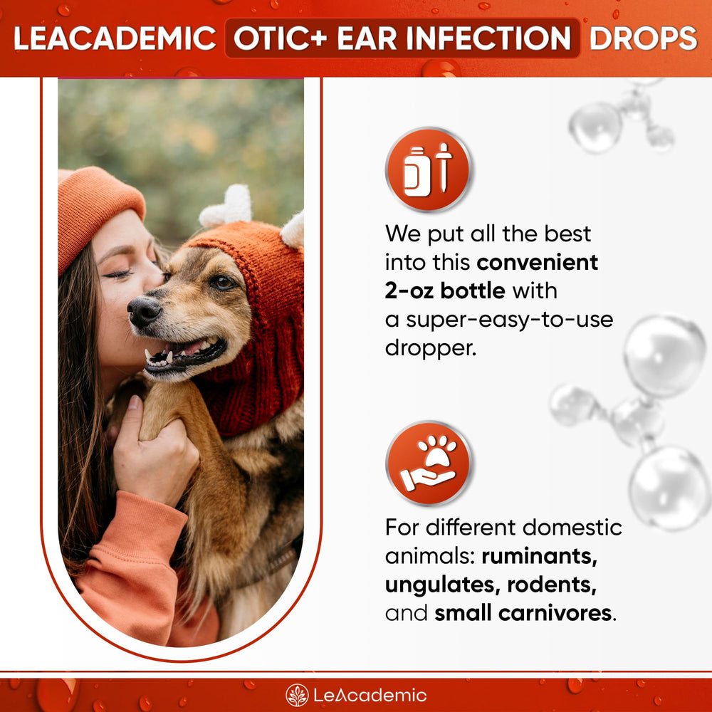 Gentle application of OTIC+ on a pet's ears.