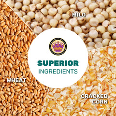 LEACH GRAIN & MILLING CO. chicken scratch serving—easy-to-serve mix for foraging and daily energy.