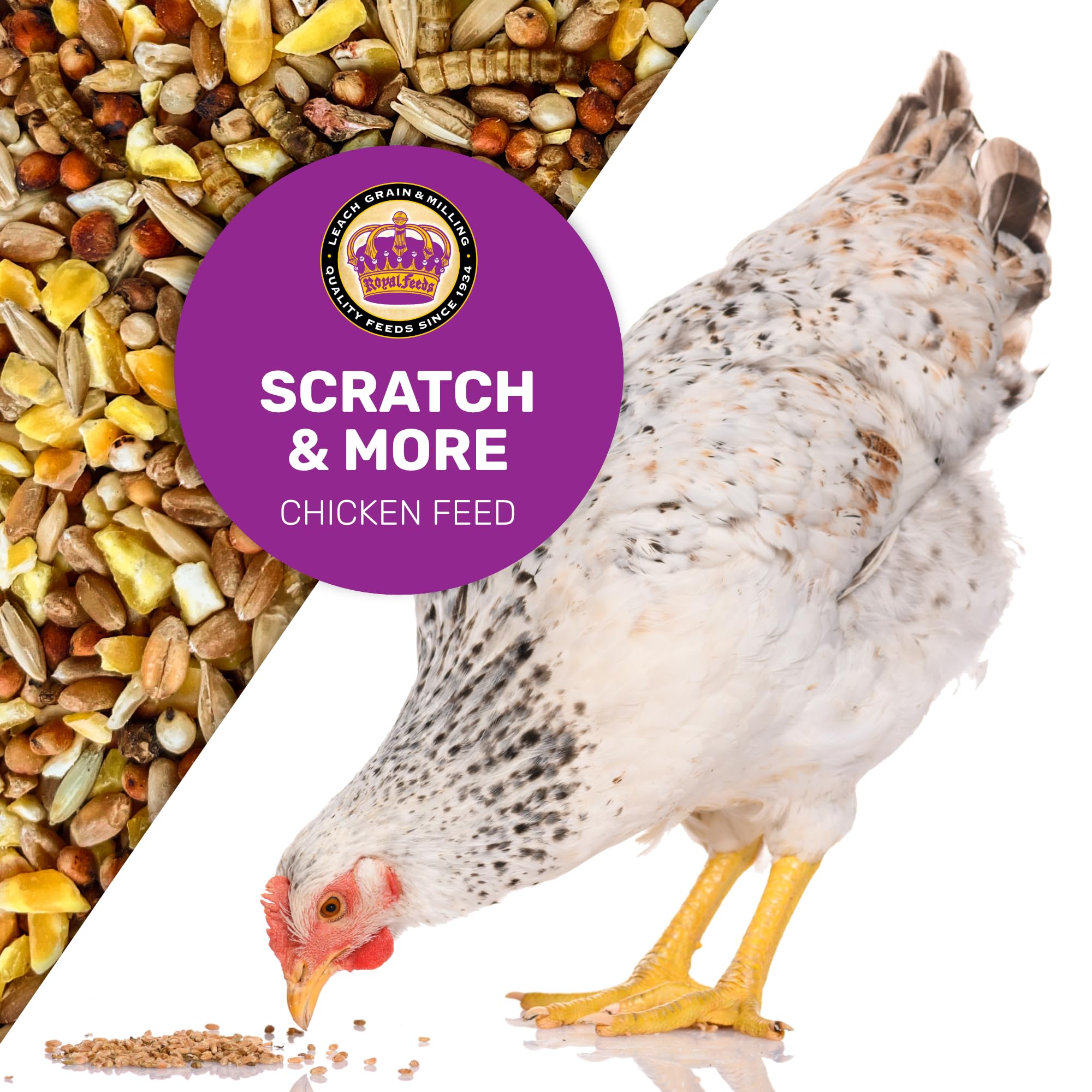 LEACH GRAIN & MILLING CO diverse grains in a bowl, illustrating a varied diet for backyard hens.
