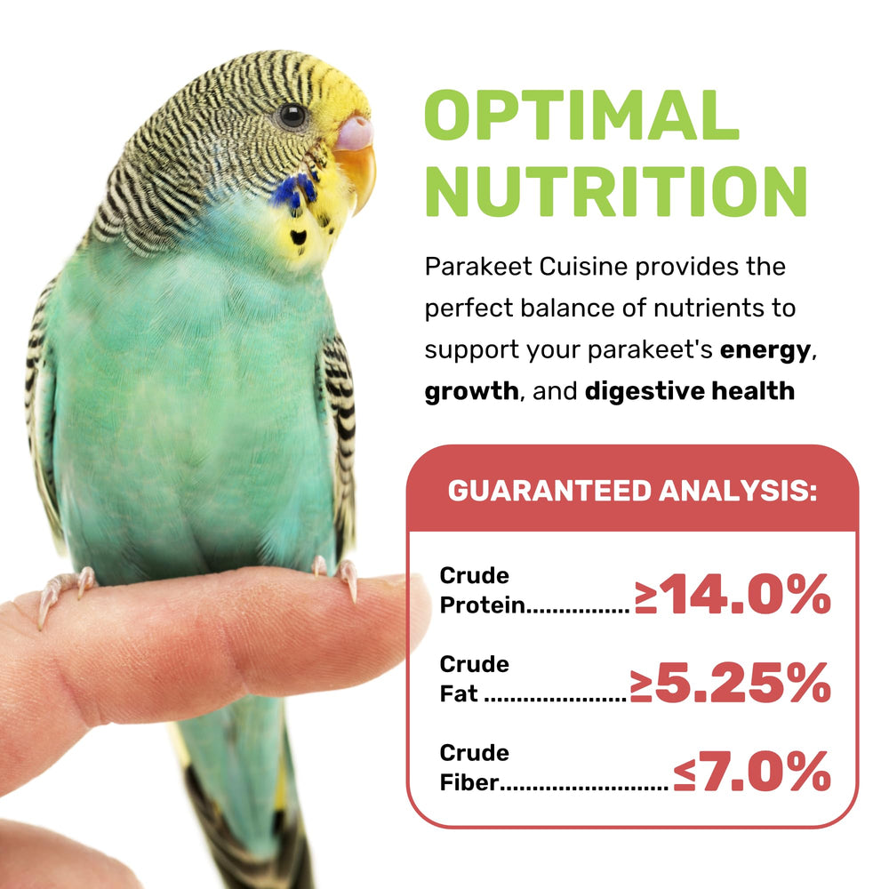 LEACH GRAIN & MILLING CO. Premium seed mix close-up shows canary seed, millet, quinoa for balanced diet.