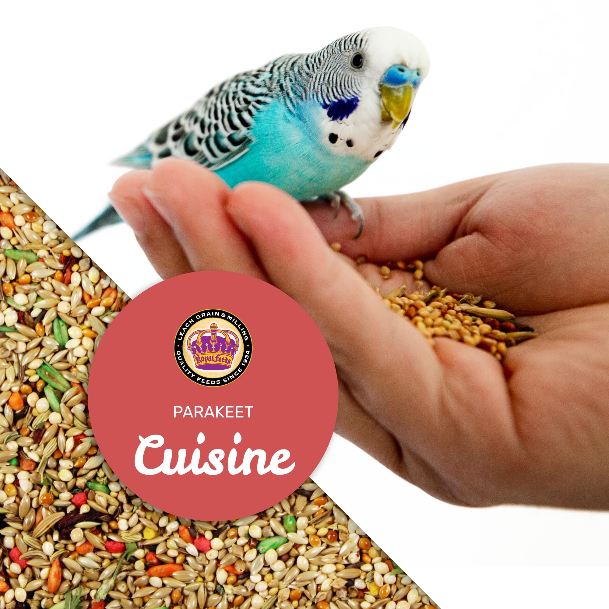 LEACH GRAIN & MILLING CO. Vibrant plumage color-boost image highlights natural color and vitality.