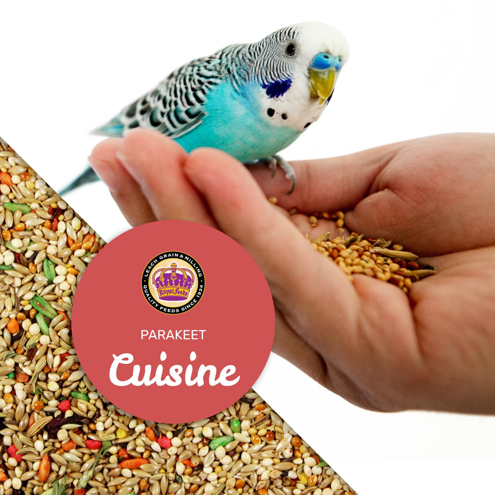 LEACH GRAIN & MILLING CO. Vibrant plumage color-boost image highlights natural color and vitality.