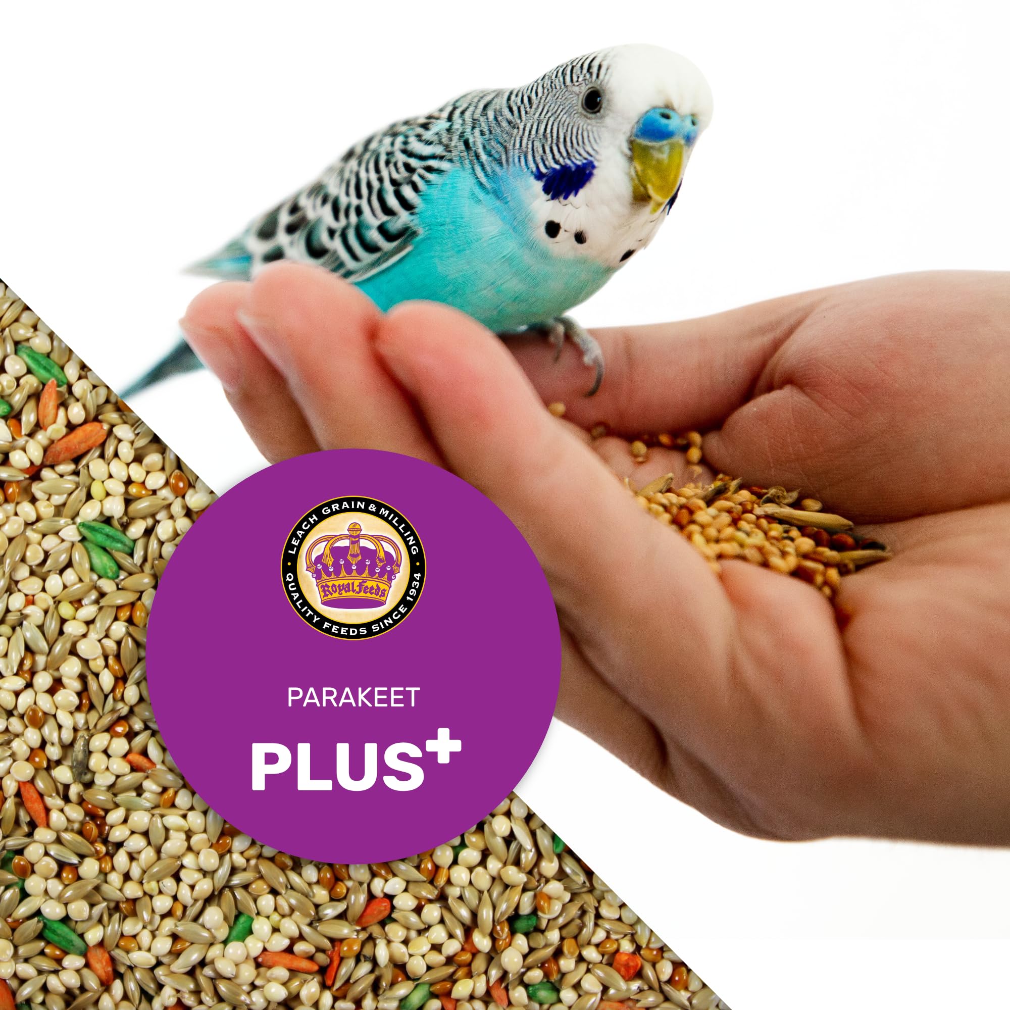 LEACH Parakeet Food Plus energy visual hints at flying, playing, and singing.