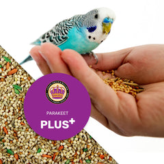 LEACH Parakeet Food Plus energy visual hints at flying, playing, and singing.